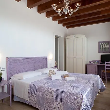 Myosotis Bed & Breakfast