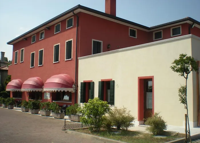 Couette-café Myosotis Mirano