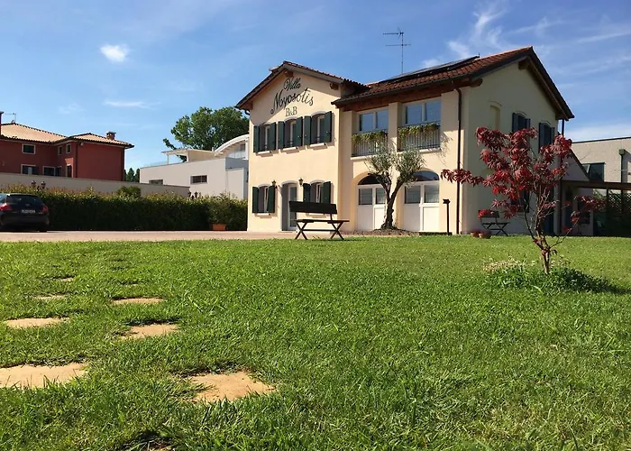 Myosotis Couette-café