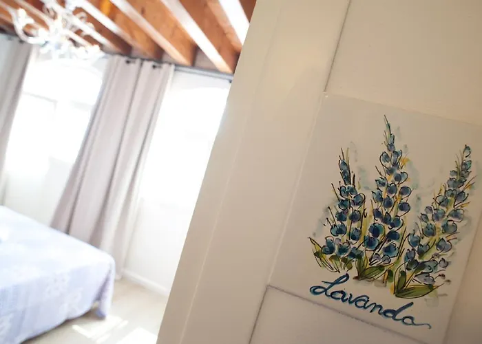 Couette-café Myosotis