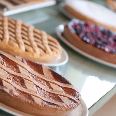 Myosotis Bed & Breakfast